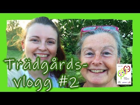 Tankar inför Tusen Trädgårdar! (trädgårdsvlogg 2)