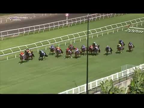 Apache Chase Vo Rogue Plate 2021