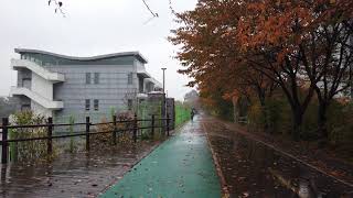 【4K. Seoul】 Walking in the rain on a seemingly endless road