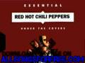 red hot chili peppers - higher ground (daddy-o mix ...