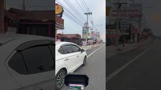 【ノンタブリー情報】掛布の隣はお金!!!ライブ ハイライト