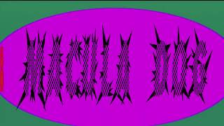 MACULA DOG / Live on KCSB