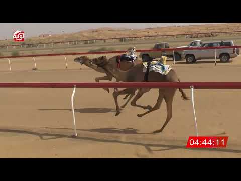  ش 3 (مبشر) لـ سعادة محمد سلطان بن مرخان الكتبي 7:50 , شارة الديوان 2026/3/02 لقايا الجبيب