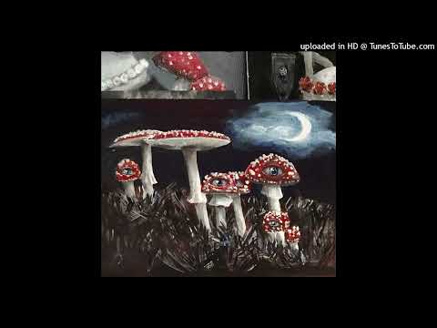 [FREE] *NO MELODY* LIL DARKIE X NASCAR ALOE X AFOURTEEN TYPE BEAT "AHAHAHAH" (PROD. САМА НЕВИННОСТЬ)