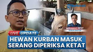 Tanpa Sertifikat Veteriner, Hewan Kurban Ditolak Masuk Kota Serang Banten: Diperiksa Ketat