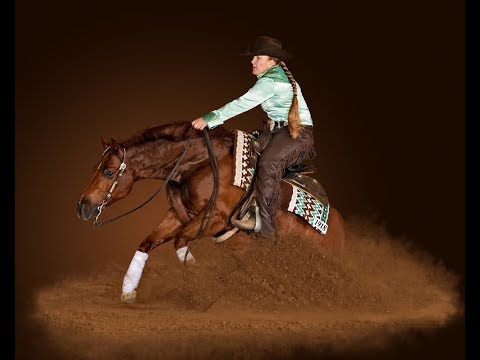 Full show run - SKEETS WHIZARD ridden by AMY R STONEY    2017 AQHA World Show Am  Reining FINALS