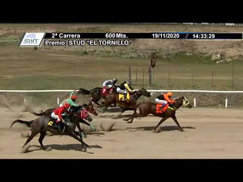 201119 c02 1° TOLOLO - SINT-FLORIDA
