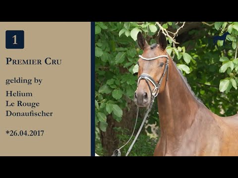 Nr. 1 Premier Cru