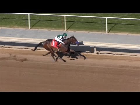 Edwards Going Left wins Cal Cup Sprint