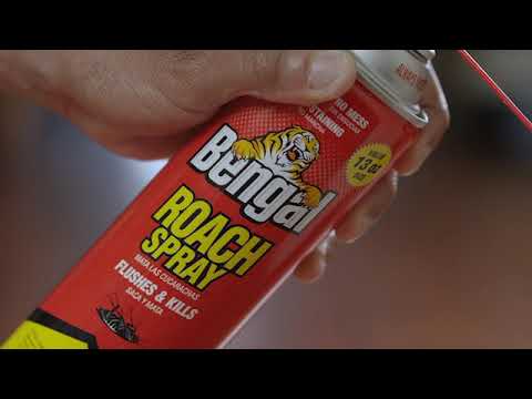 Bengal Roach Spray - It's Your Bug Man In A Can 15s