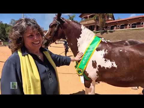 Largest breeder of Mangalarga Pampa horses in Brazil - Rural Magazine Interview