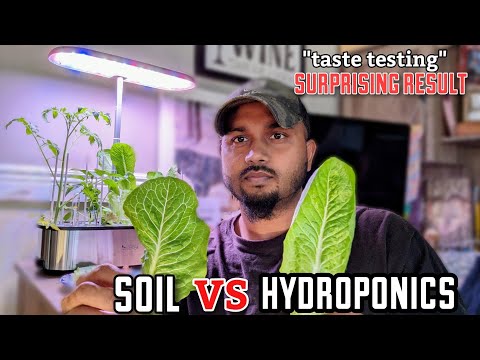 Soil vs Hydroponics !! Lettuce Tasting"Surprising Result" #garden #hydroponics #gardening