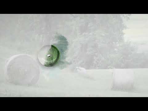 Ceramica Catalano Green Collection