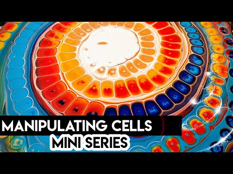 #60 Manipulating the Cells Mini Series | Acrylic Pouring with Silicone Oil