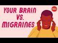 What happens to your brain during a migraine - Marianne Schwarz