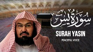 Download lagu Surah Yasin - (Full Arabic Recitation) by Al sheikh Abdul Rahman al-sudais | Daily Quran Recitation mp3