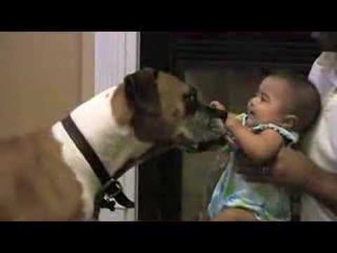 Kosmo loves Amy Thekkekandam