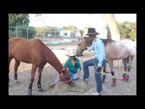 Se Enamoró el Coleador - Yldemaro Torres