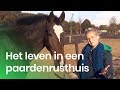 Het leven in een paardenrusthuis | Het Klokhuis
