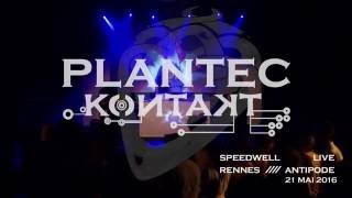 PLANTEC // CELTIC MUSIC : speedwell (LIVE)