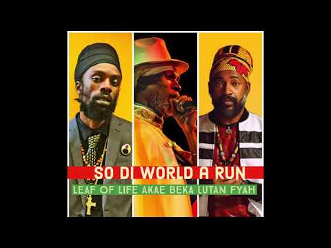 Akae Beka, Lutan Fyah, & Leaf of Life = the 3 Wise Men!