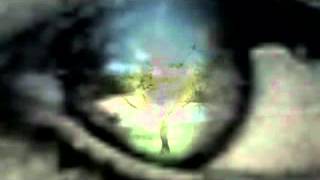 Chi mai   Ennio Morricone &amp; Dulce Pontes