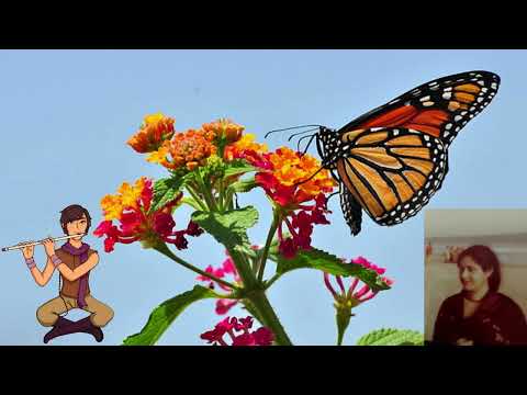 O Basi | Ina Mookherjee |