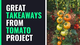 Learnings from a Tomato Project In Zimbabwe: An Aspiring Farmer