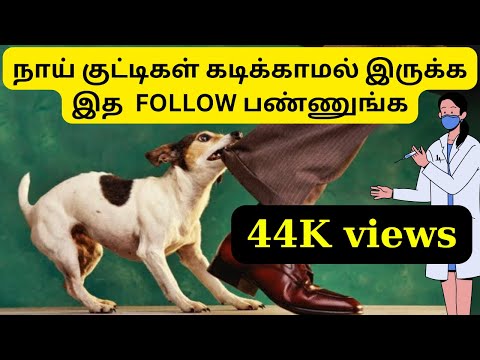 நாய் குட்டிகள் கடிக்காமல் இருக்க டாக்டர் சொல்லும் டிப்ஸ் | Doctor's tips to avoid puppy bite