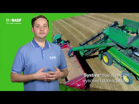 Zobacz nowy bezopryskowy fungicyd na zboża ozime i jare w formie zaprawy nasiennej – Systiva®