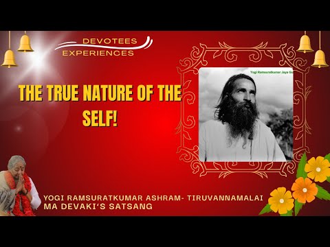 #509- The True Nature of the Self! | Devotees experience | Yogi Ramsuratkumar | Ma Devaki | 20-01-22