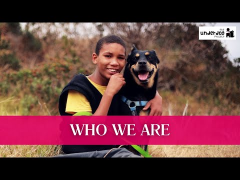 Empower Youth, Transform Shelter Dogs
