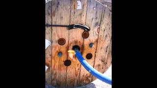 preview picture of video 'Live Bee Removal San Marcos San Diego County CA'