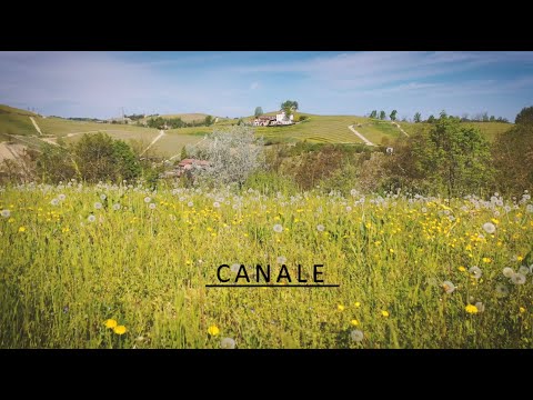 Reportage Coronavirus - Canale d'Alba aprile 2020