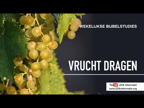 Wekelijkse Bijbelstudie 22 december 2018 - Vrucht dragen
