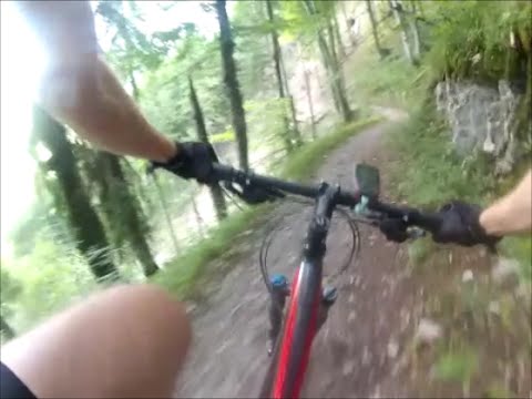 Hirschberg Trailtour - MTB Tegernsee