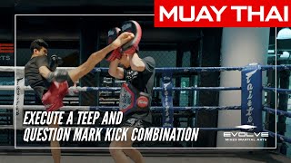 Teep and Question Mark Kick Combination