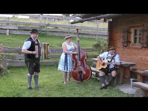 Hallgrafen Musikanten Sommerfest Polka