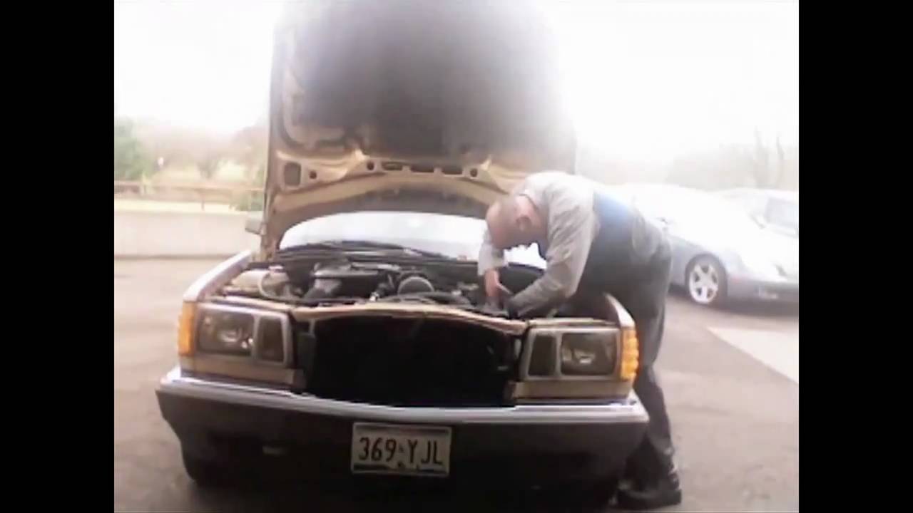 Everywhere Now Trailer (HD)