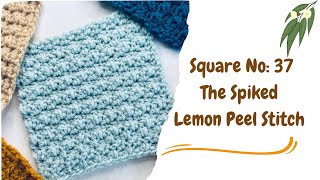 Crochet Square No: 37, How to Crochet the Spiked Lemon Peel Stitch, The 2025 Crochet Sampler Blanket