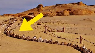 ¡El descubrimiento del desierto más increíble de los últimos tiempos!