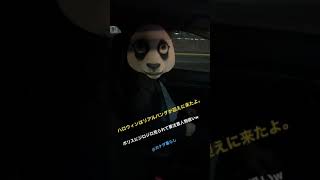 【海外生活】怪しすぎるパンダ登場
