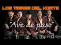 Los Tigres Del Norte - Ave de Paso