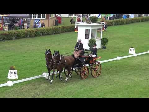 Lars SCHWITTE (GER) FEI CH-M-AH2, Drebkau (Germany), dressage, 13.09.2019