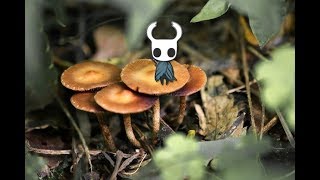 第03回  ダークソウル+メトロイドなゲーム【Hollow Knight -ホロウナイト-】を実況プレイ 　緑の道の先には何がある？