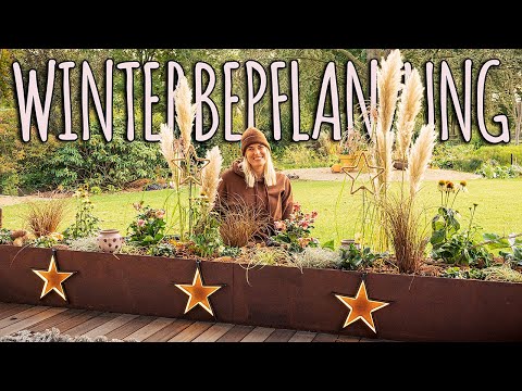 MEINE TIPPS FÜR DEN RICHTIGEN PFLANZEN IM WINTER  - UNSERE TERRASSE WINTERLICH GESTALTEN - DIY