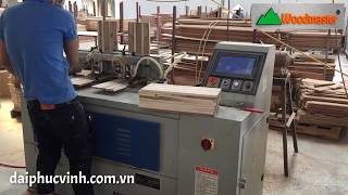 MÁY LÀM MỘNG MANG CÁ ĐUÔI ÉN CNC 3 tính năng Woodmaster