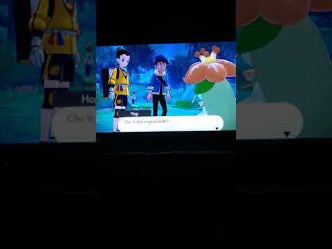 Andiamo alla ricerca del Mielemax: Pokémon spada l'isola solitaria dell'armatura ep. 6