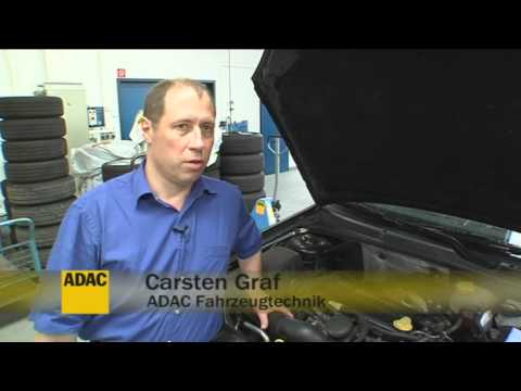 E10-Langzeituntersuchung