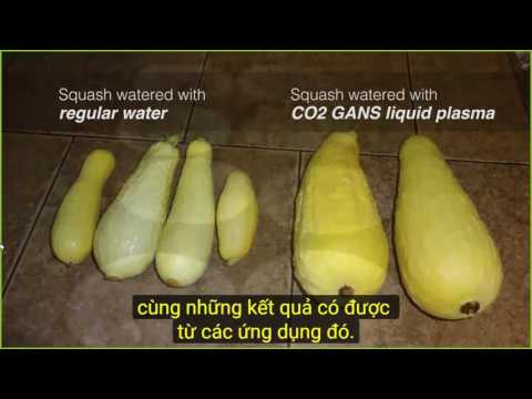 2016 11 26 AM Public Teaching in Vietnamese - Buổi giảng công cộng bằng tiếng Việt